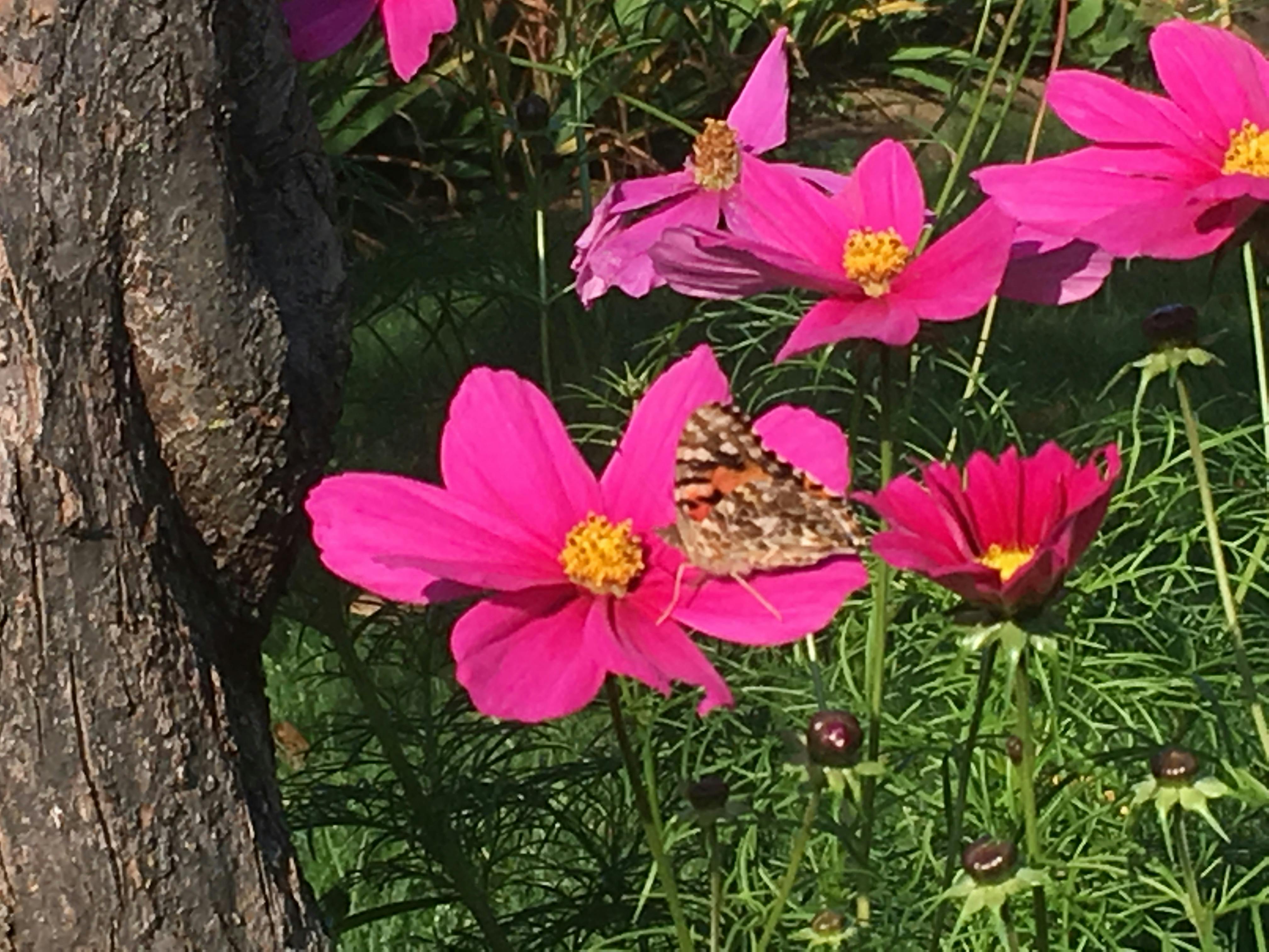 Oil refinery fire Middle East