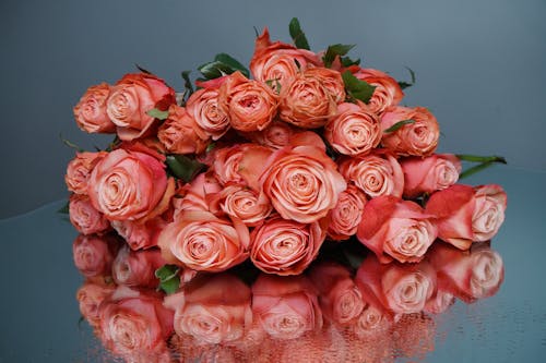 Free An Arrangement of Garden Roses  Stock Photo