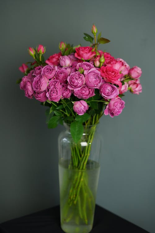 Free Roses in a Glass Vase Stock Photo