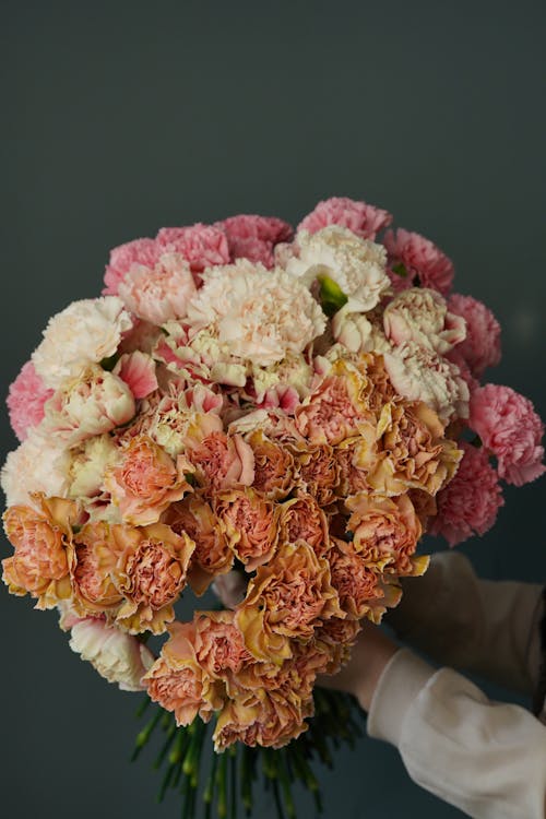 Claveles. Foto: Алекке Блажин en Pexels