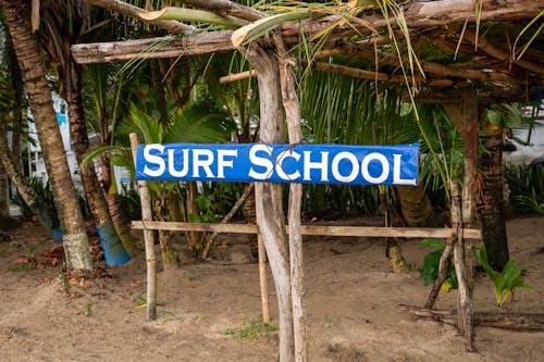 Signage Hanging on Tree Trunk 