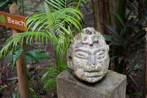 Free stock photo of palm, statue