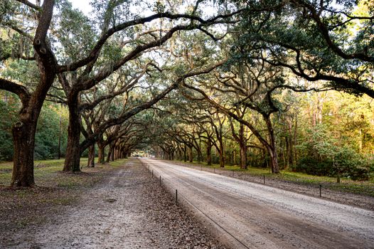 Oak Alley plantation day trip — New Orleans
