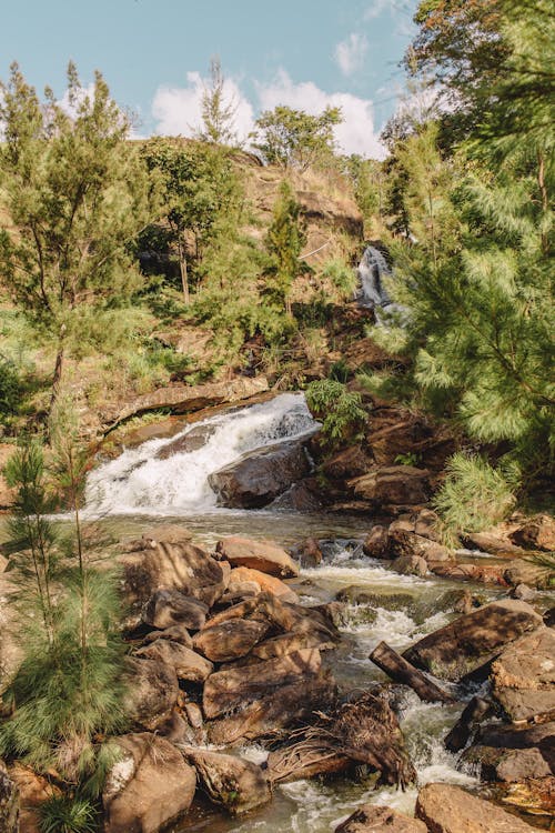 Water Flowing Over Rocks Near Trees