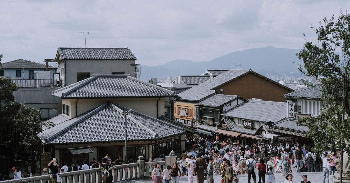 2025年度观光地未来的领航者们👩🎓✈️ 2025年度观光地未来的领航者们👩🎓✈️