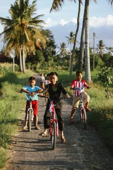 Group of kids happily riding bicycles on a rural path surrounded by palm trees. - Fotografer Sidoarjo