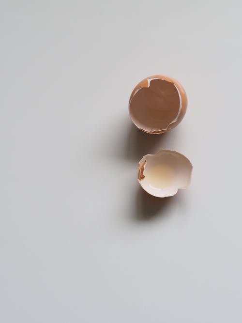 無料 白い表面に茶色の卵の殻 写真素材