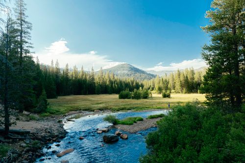 Free Tranquil mountain stream flowing through a lush forest landscape, perfect for nature lovers. Stock Photo