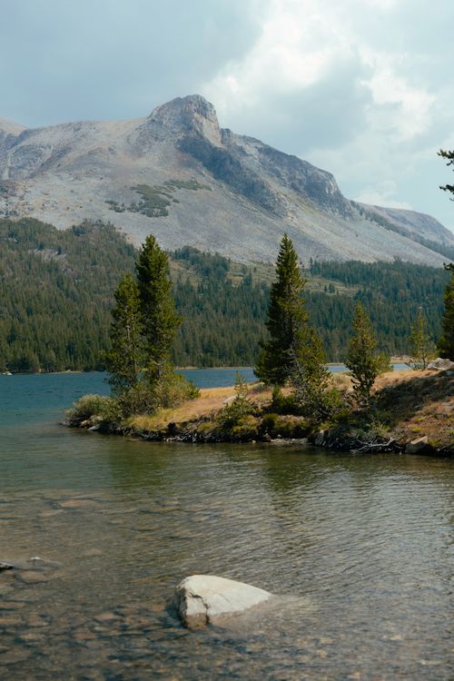 Free Peaceful mountain lake scene with rocky shore and lush pine trees under a blue sky. Stock Photo