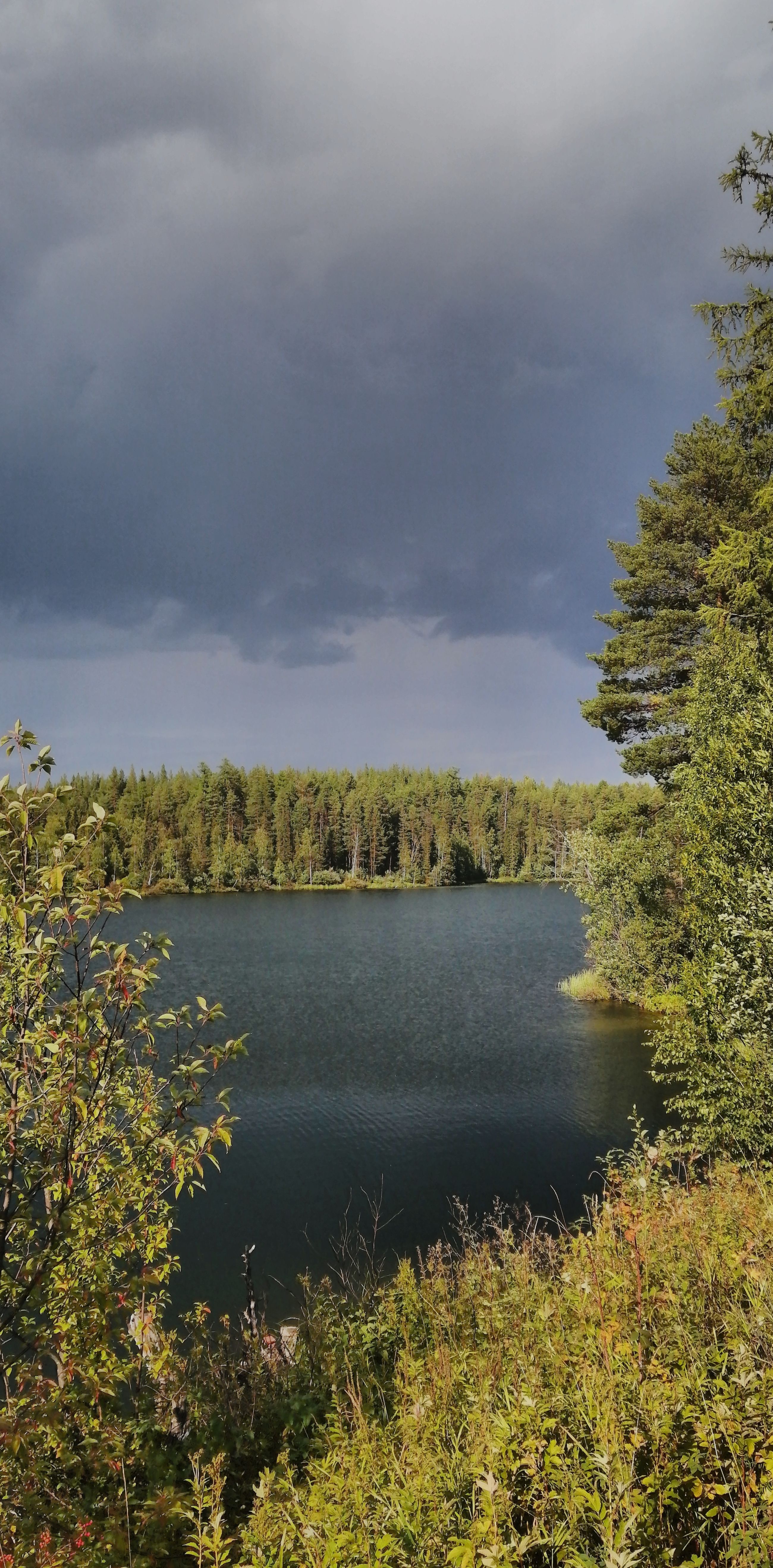 Tranquil forest lake with overcast sky, surrounded by lush greenery and trees.