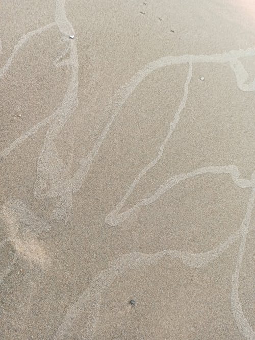 Gratis arkivbilde med mønster, sand, strand
