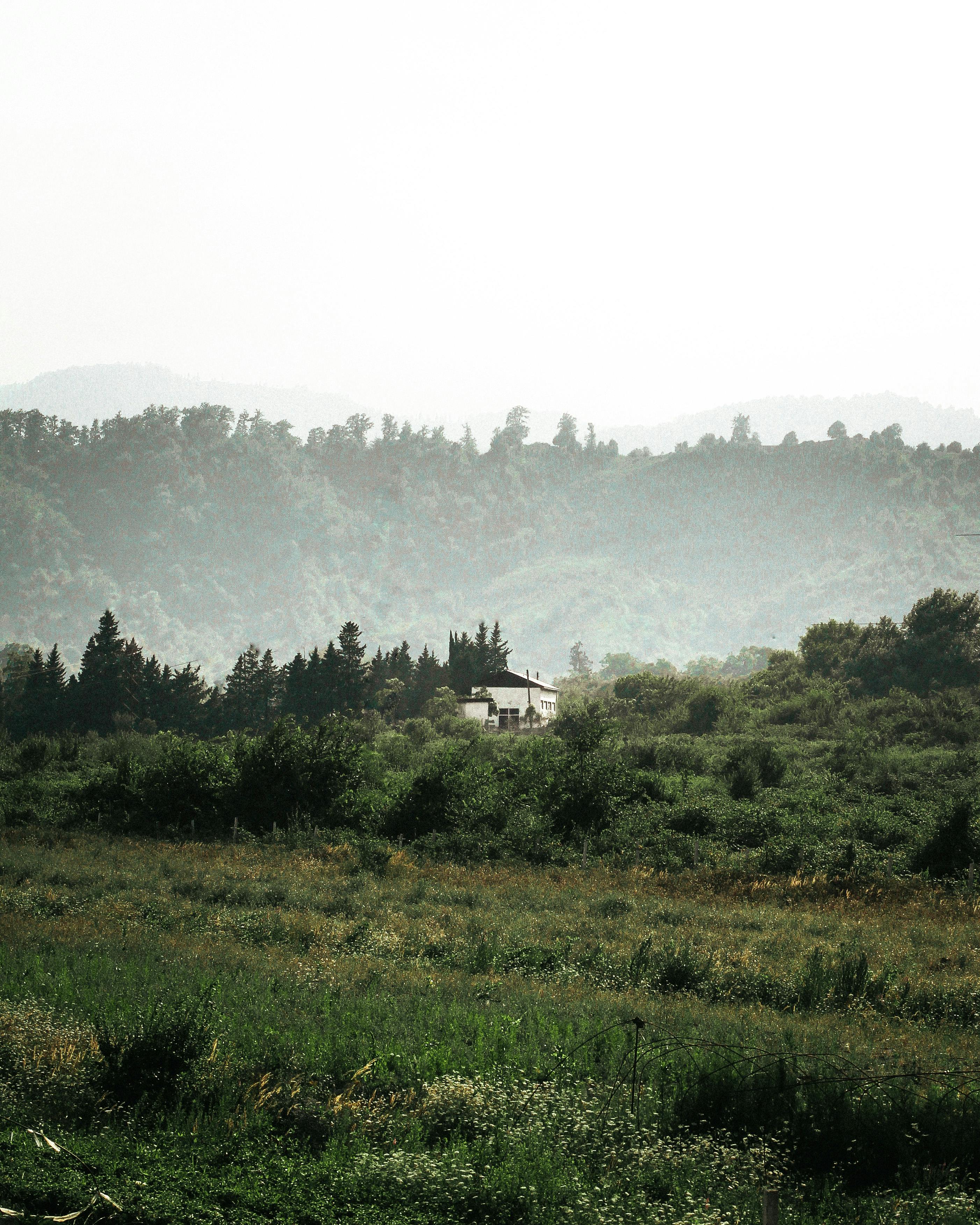 Tranquil countryside scene with a solitary house amidst lush fields and dense forests.