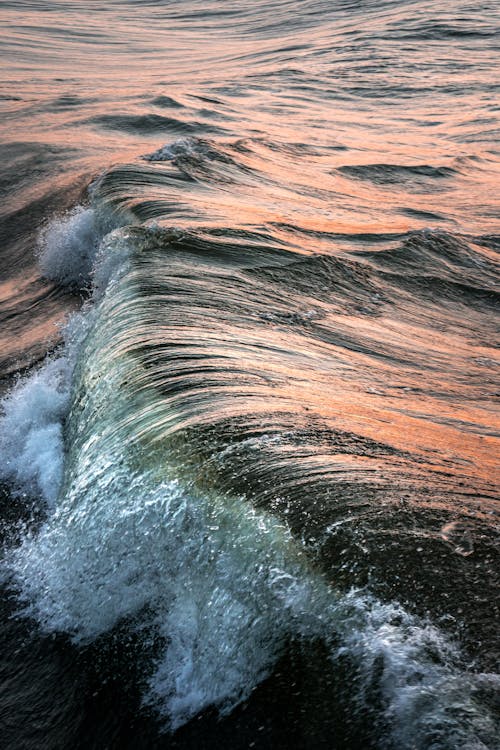 Waves in the Sea