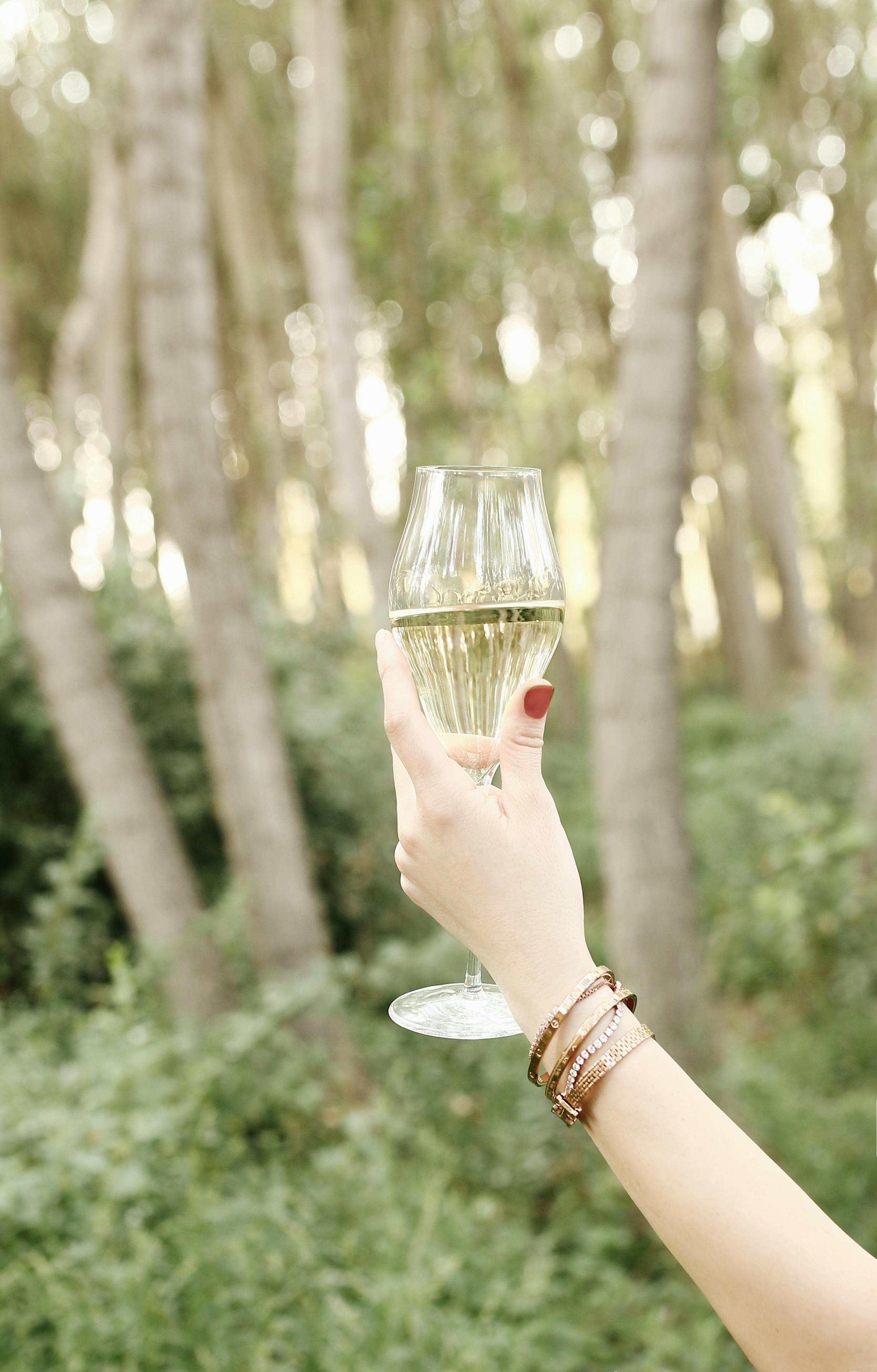 Hand raising a wine glass outdoors, capturing elegance and nature's tranquility.