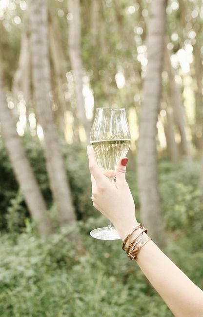 Hand raising a wine glass outdoors, capturing elegance and nature's tranquility.