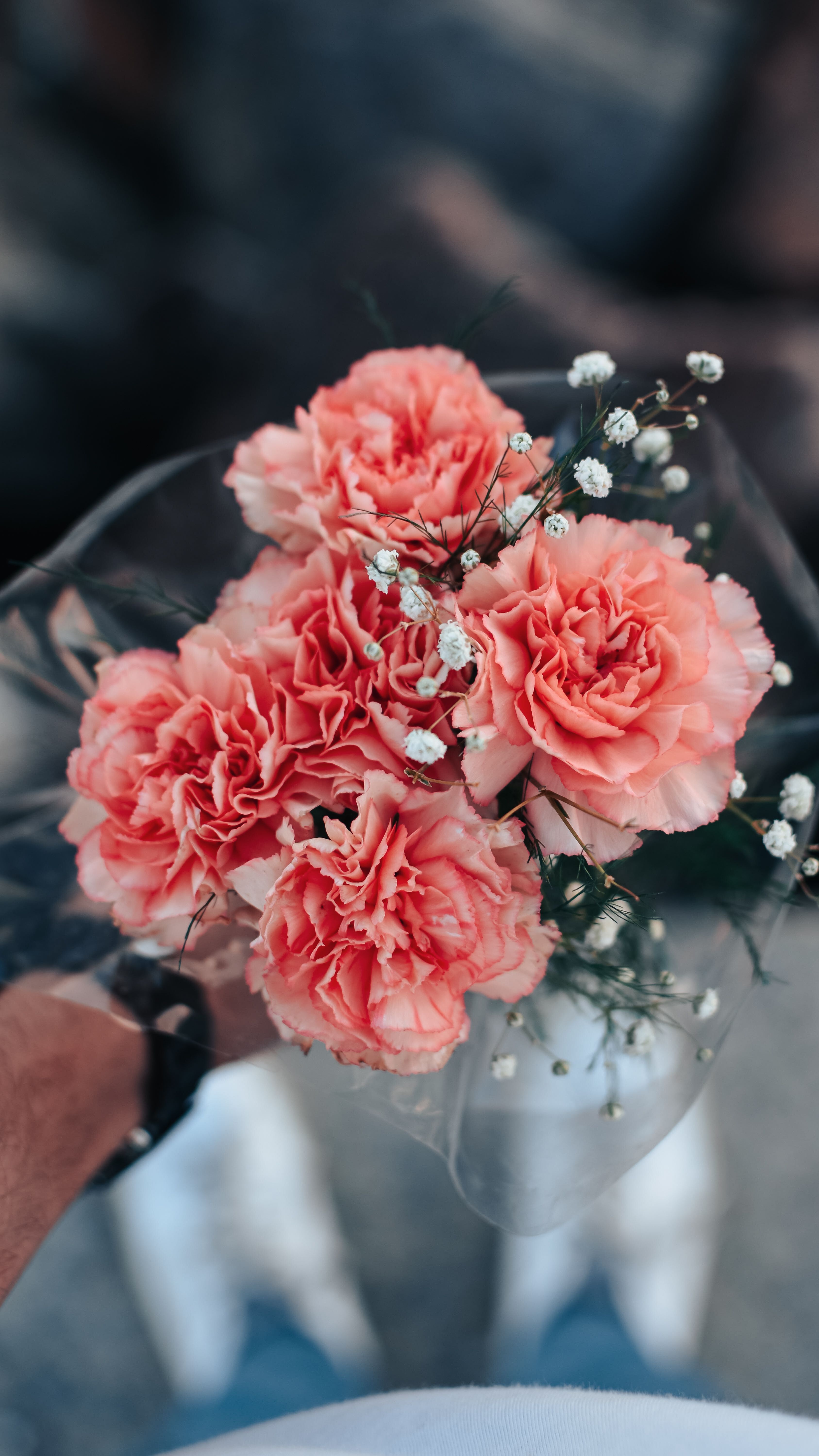 [ColoSach]-a-close-up-view-of-a-hand-holding-a-beautiful-pink-carnation-bouquet-with-a-blurred-urban-background.