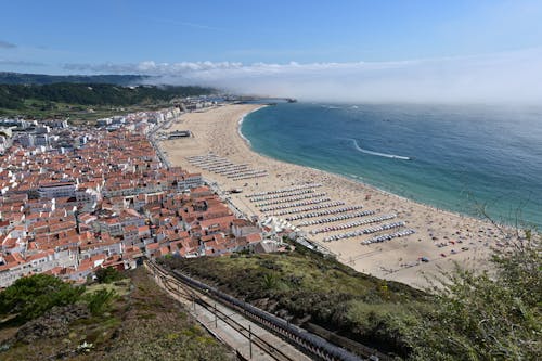 Aerial Photography of People on the Beach