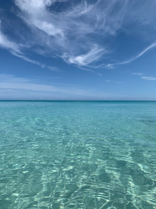 Scenic View of the Sea Under the Blue Sky