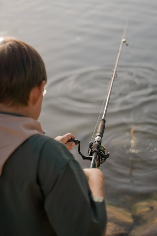 Fotos de stock gratuitas de caña de pescar, de espaldas, orilla del lago