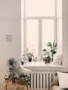 Photo of Green Leaf Potted Plants on Window and Stand