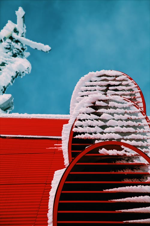 Nevi Sulla Foto Del Primo Piano Del Tetto Rosso