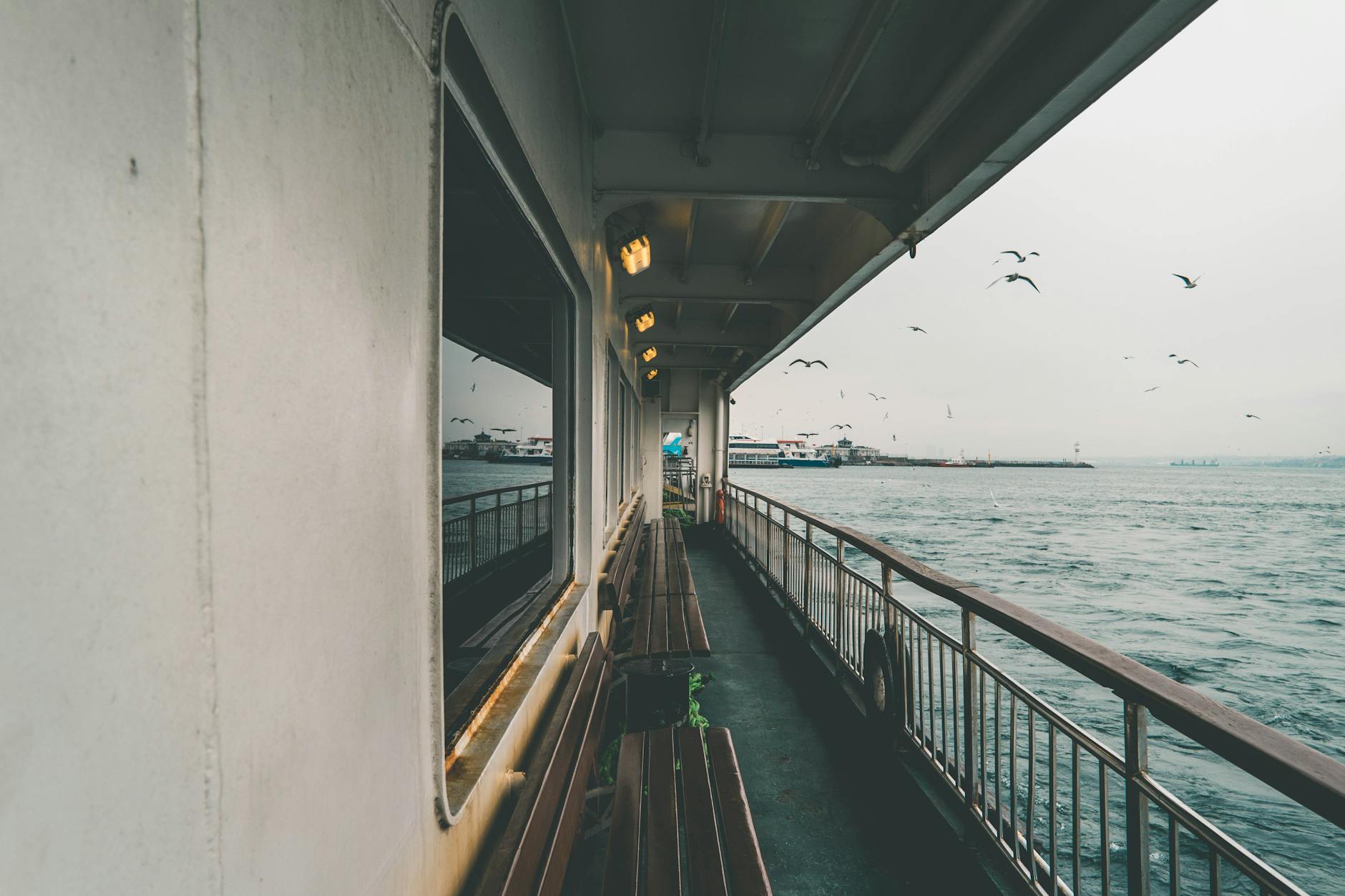 Juneau Cruise Port Activities