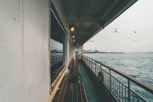 渡轮在宁静的海上航行，海鸥飞翔，海岸景色静谧宜人