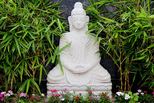 Foto stok gratis Agama Buddha, Allah, batu