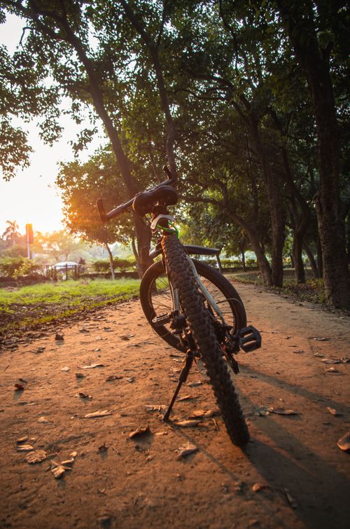 Free A mountain bike stands on an unpaved forest path with sunbeams filtering through trees at sunset. Stock Photo