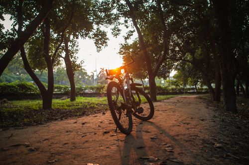 Free Captivating view of a mountain bike parked on a dirt trail through a forest at sunset, creating a serene scene Stock Photo