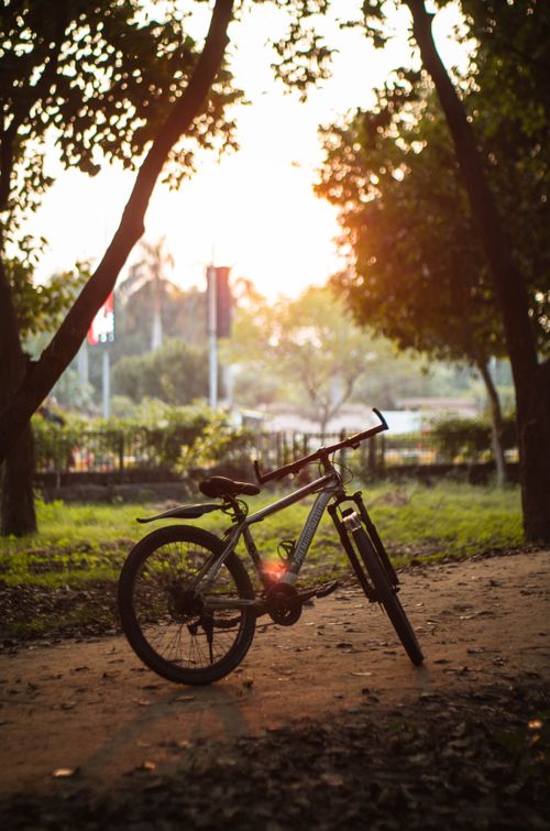 Free A relaxing sunset view with a bicycle on a park path in Lahore, Pakistan. Stock Photo
