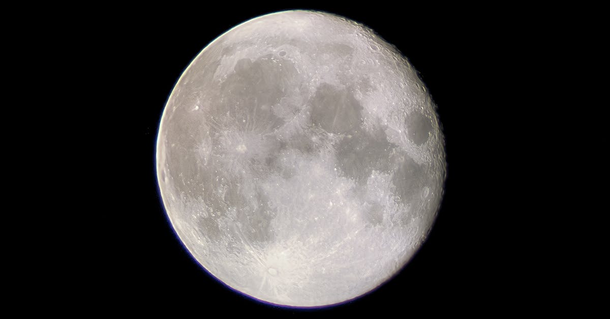 Why do wolves howl at the moon Reddit