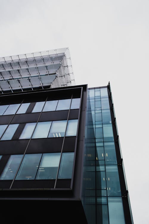 Low-Angle Shot of a Building