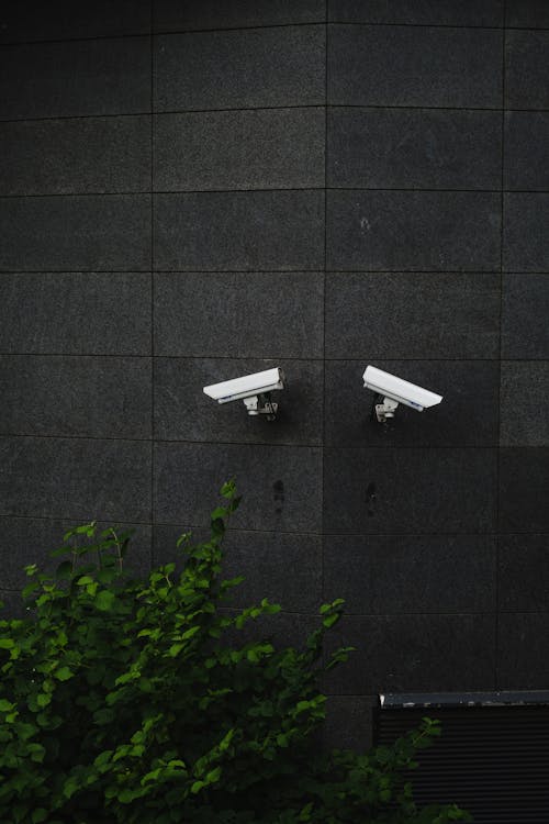 Gratis arkivbilde med beskyttelse, CCTV, overvåking