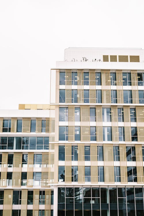 White Concrete Building with Glass Windows 