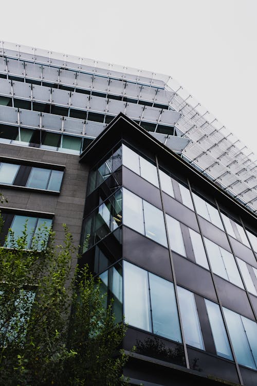 Low Angle Shot of Black Glass Building