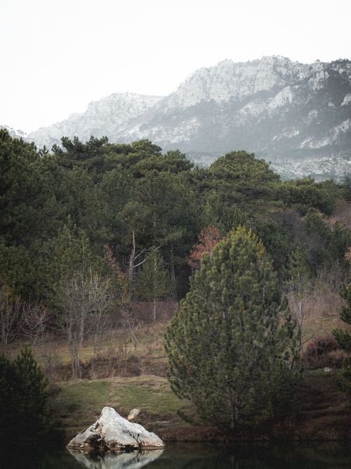 Free Peaceful mountain scenery with lush forest and clear sky, perfect for nature lovers. Stock Photo