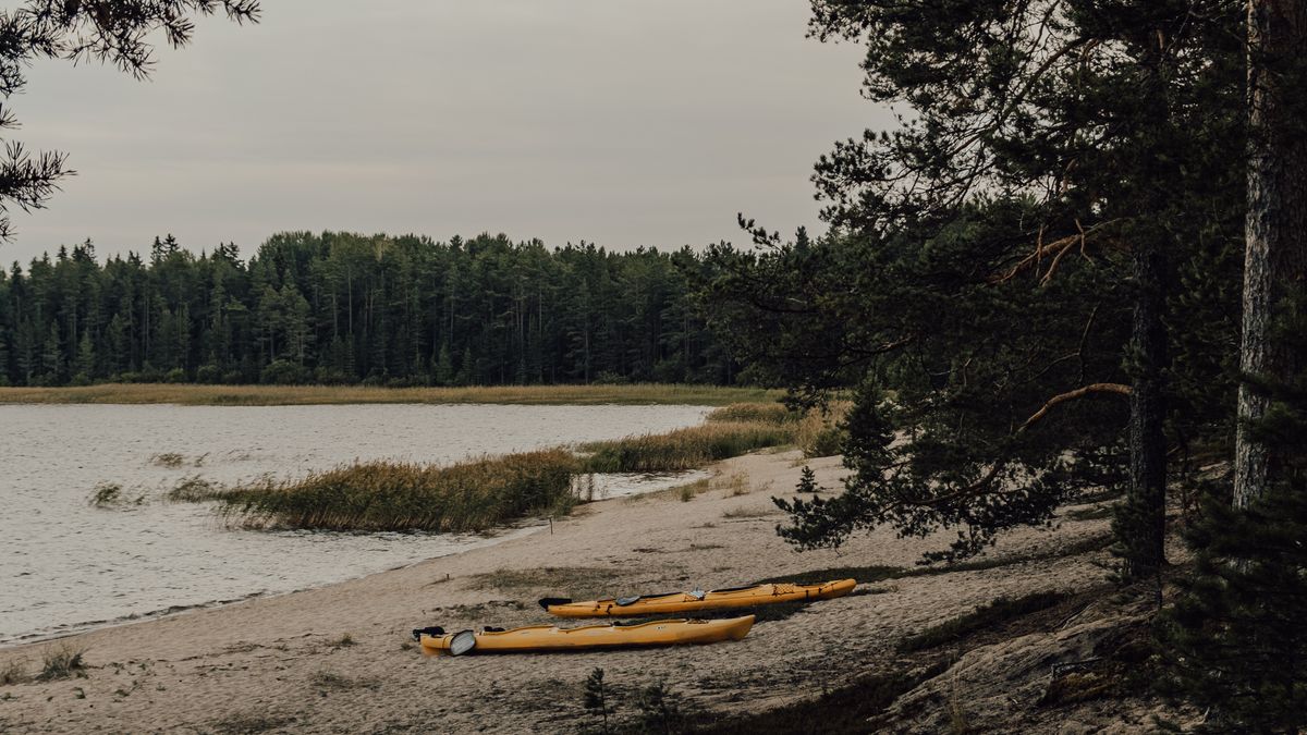 Activités ressourçantes en plein air