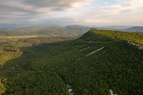 Kostenloses Stock Foto zu drohne erschossen, holz, landschaft