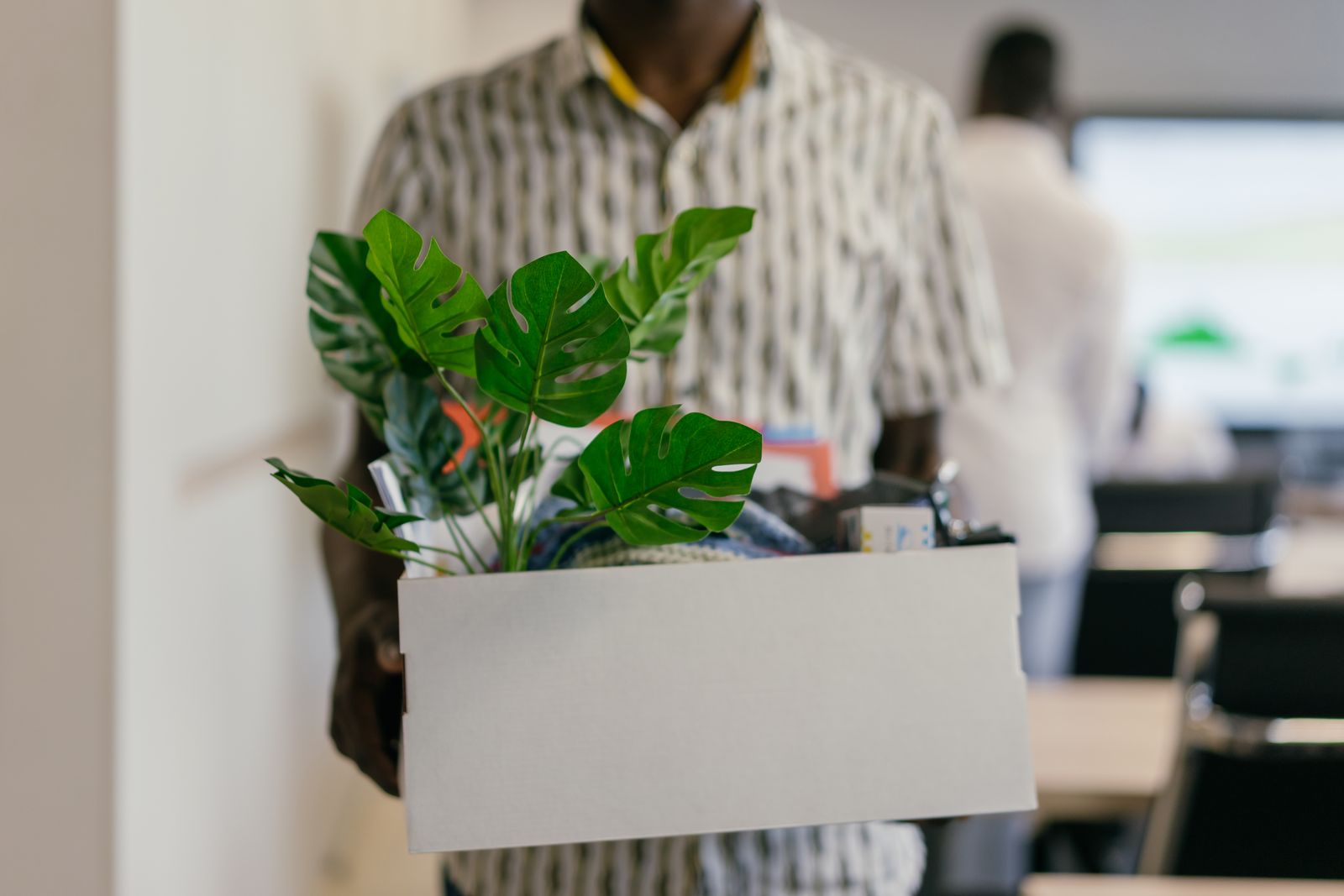 Man in office attire carrying a cardboard box with a potted plant