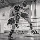 Rivals Fighting in the Ring