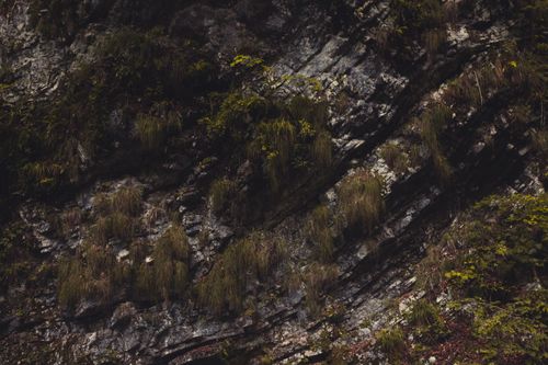 Free Captivating view of a rocky slope with diverse vegetation in Radovljica, Slovenia. Stock Photo