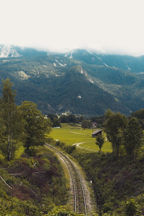 Tracks in a Mountain Valley 