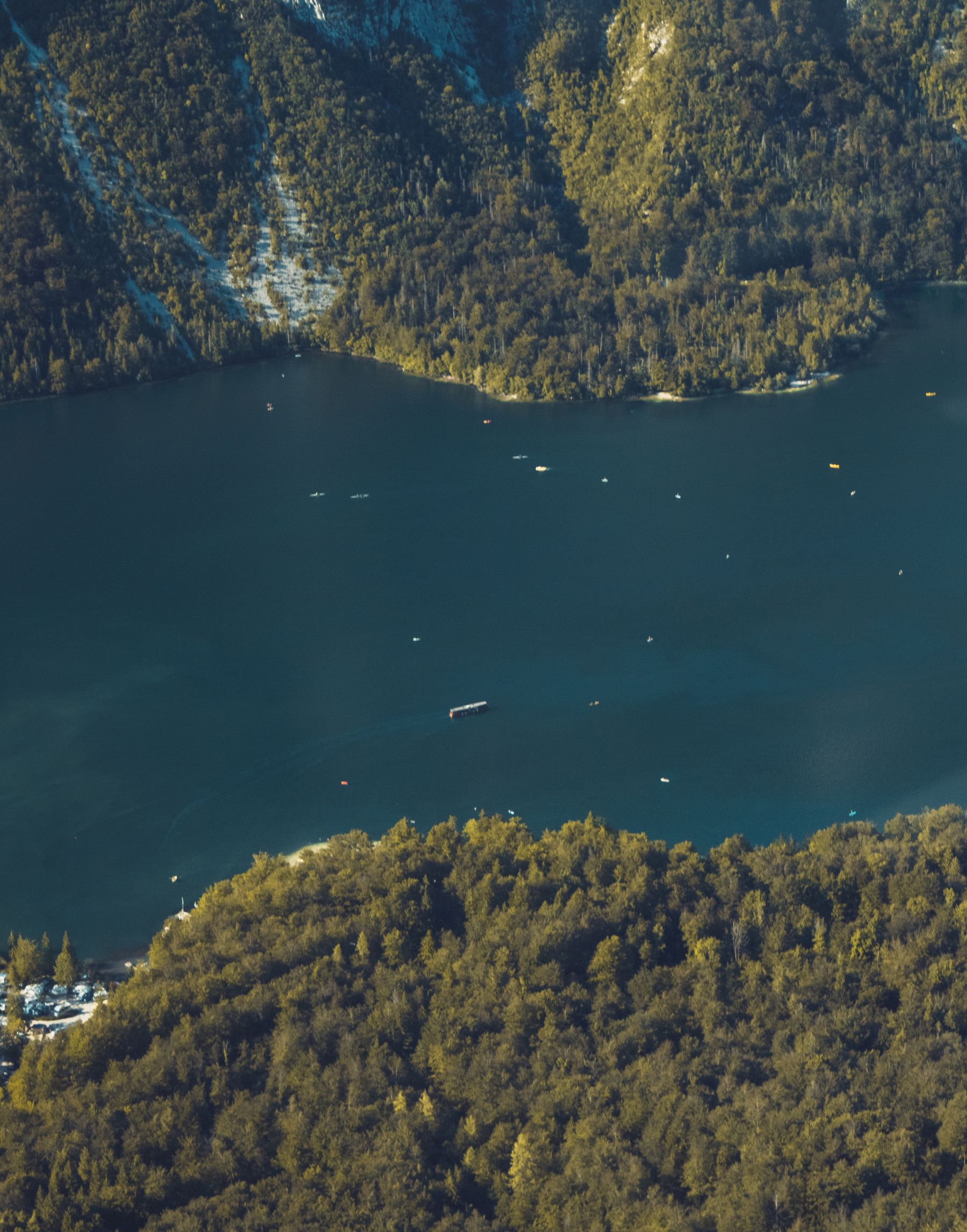 Aerial view of Lake Bohinj surrounded by forest