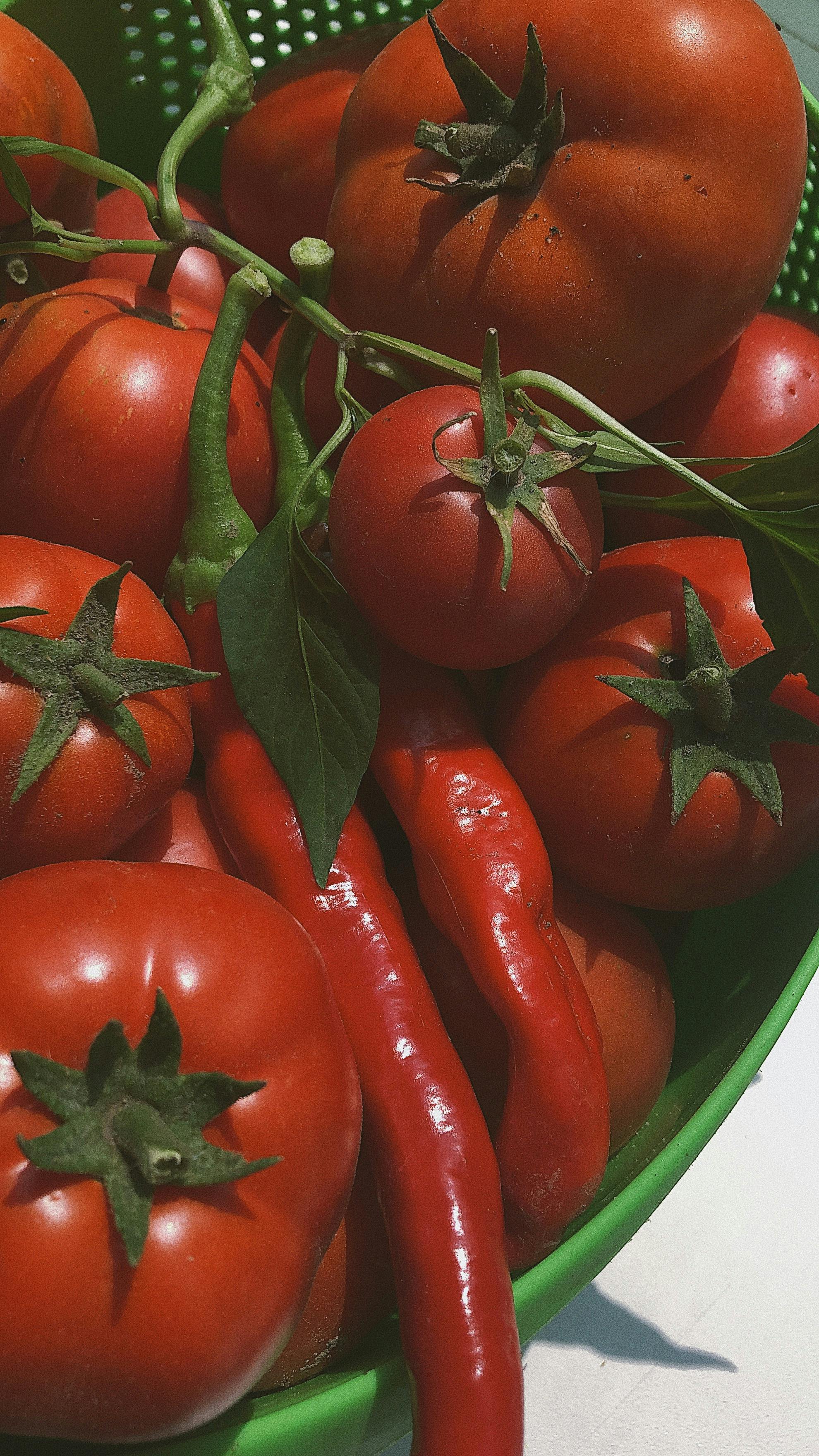 Do tomatoes break ketosis?