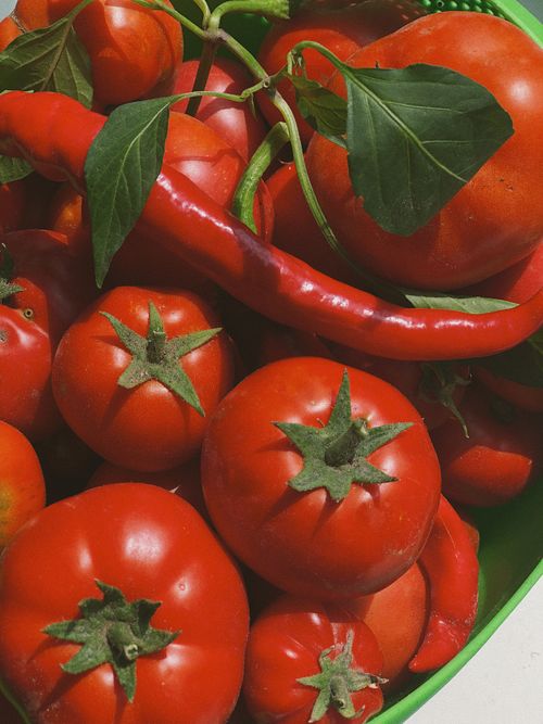 Free Close-up of fresh red tomatoes and chili peppers in a vibrant green basket, showcasing healthy produce. Stock Photo