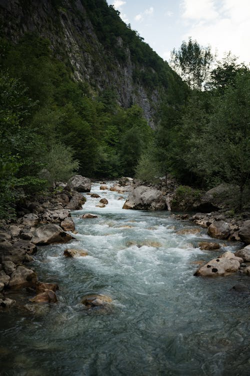 Ücretsiz akarsu, dağ, dikey atış içeren Ücretsiz stok fotoğraf Stok Fotoğraflar