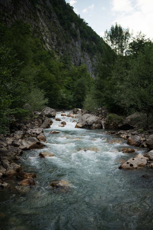 Free A picturesque river streaming through lush forested mountains, capturing nature's serene beauty. Stock Photo