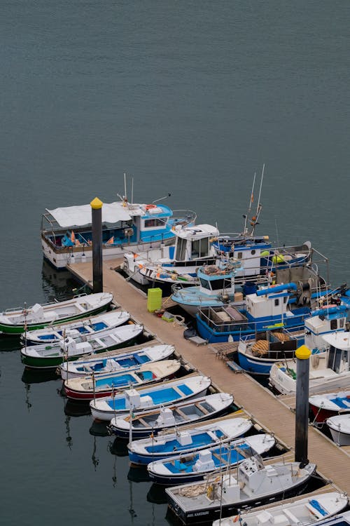 Fishing Boats in the Harbor