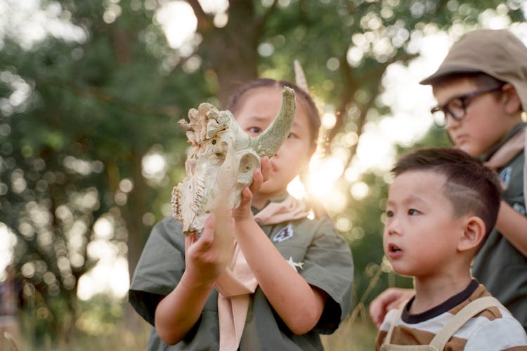 Kids Finding An Animal Skull While Camping